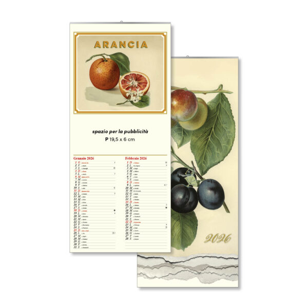 Calendari 2026 ILLUSTRATI GIOVE OLD