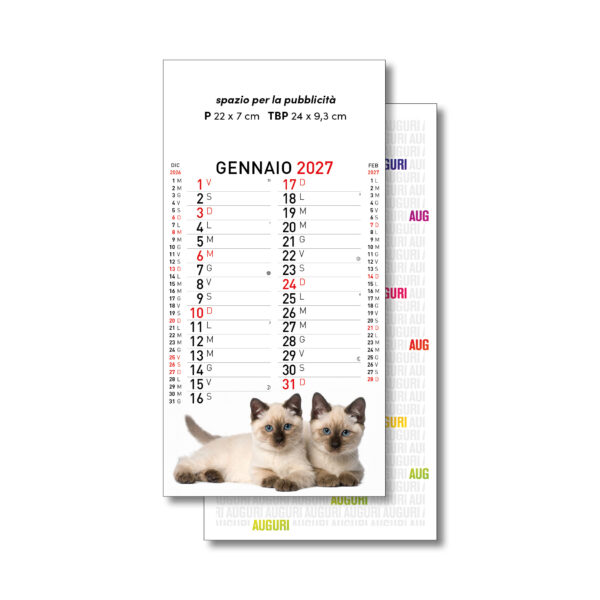 Calendari 2027 OLANDESI ILLUSTRATI