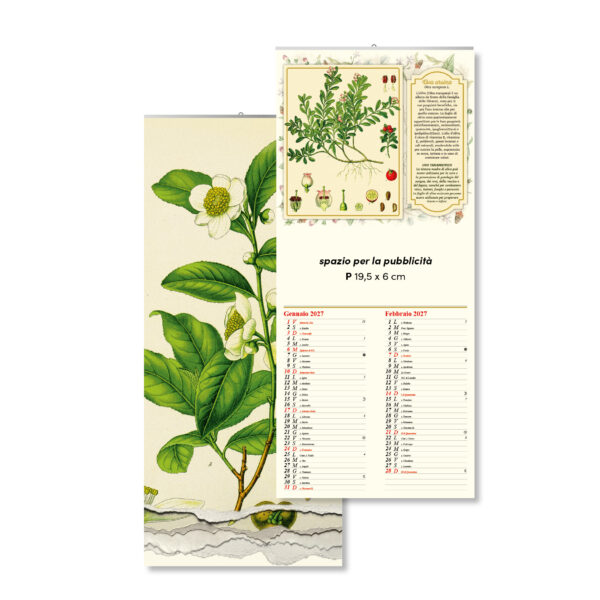 Calendari 2027 ILLUSTRATI GIOVE OLD
